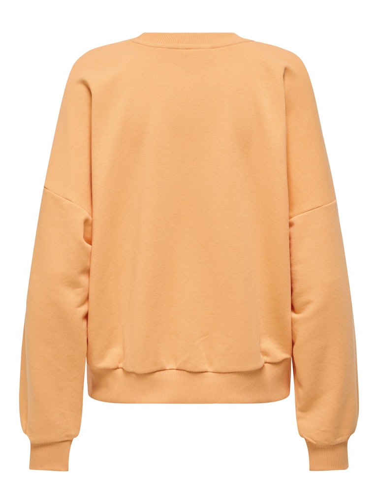 Onlminna O Neck L/s Cs Pr Swt - Oranje