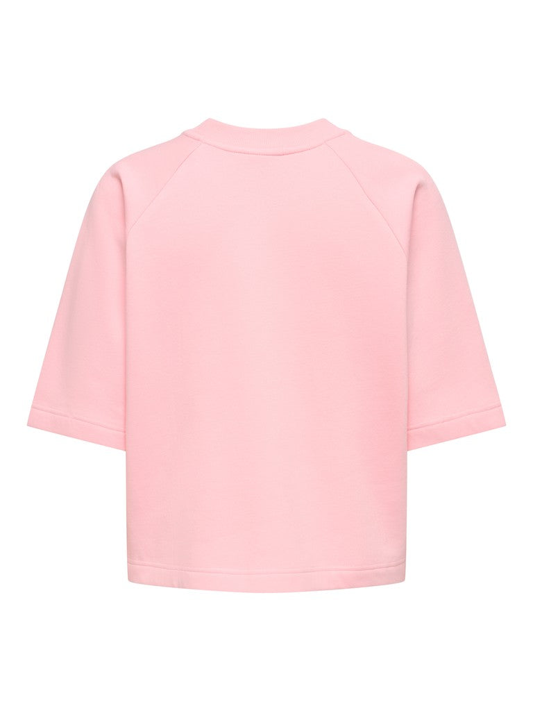 15384345 Olivia - Roze