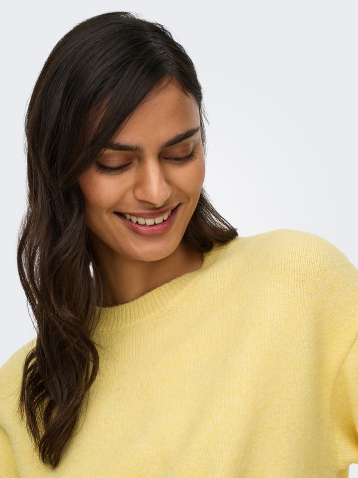 Jdychloe Life 3/4 On Pullover Knt Noos - Geel