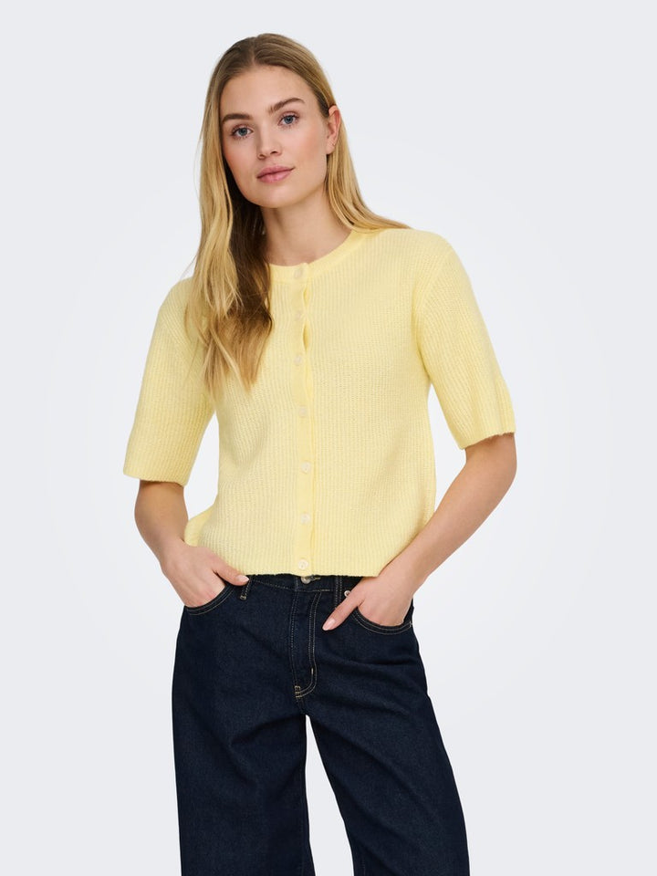 15375964 Catty - Geel
