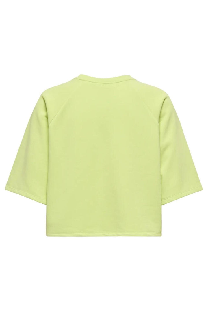 Onlcora S/s Print O-neck Ub Swt - Lime