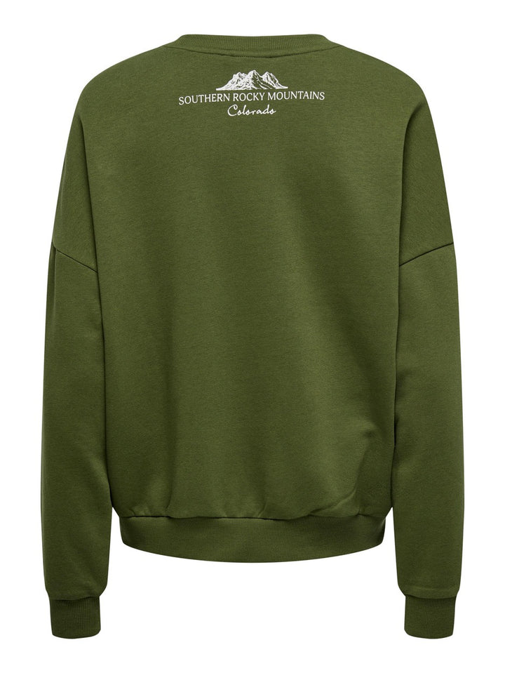 Onlyldis L/s Mountain O-neck Box Sw - Olijf