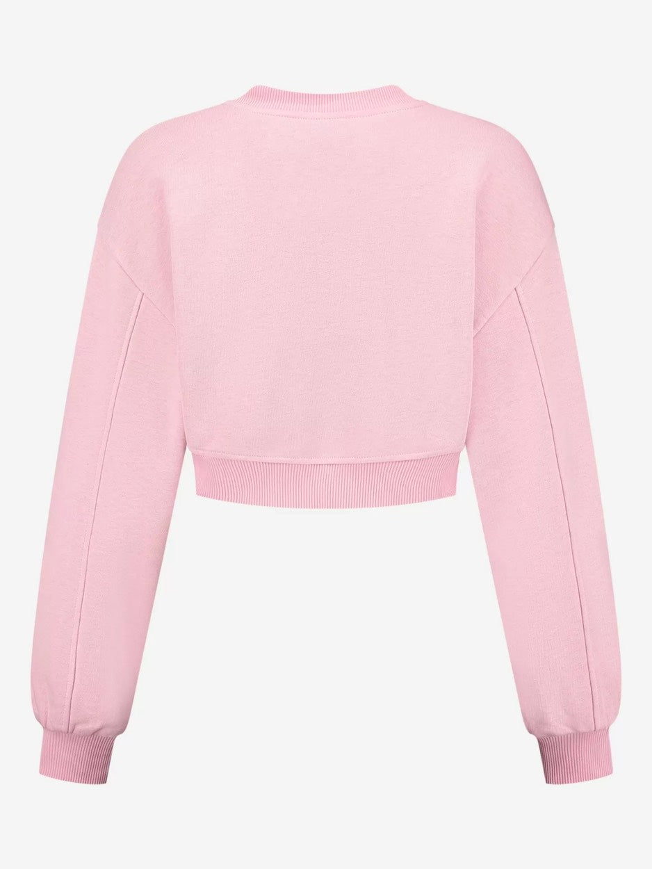 Bangalore Sweater - Roze